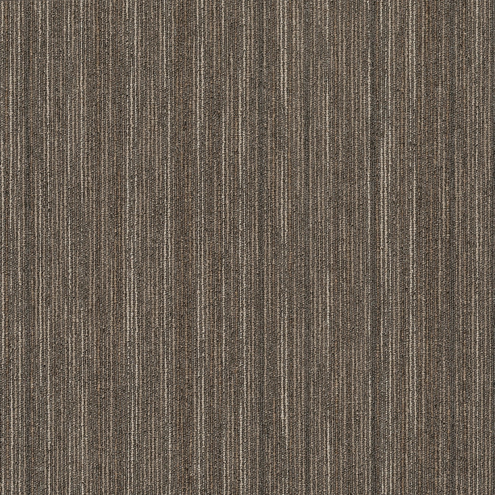 Shaw 54845 Philadelphia Commercial Intellect 24x24 Glue Down Tile Smarts Collection  