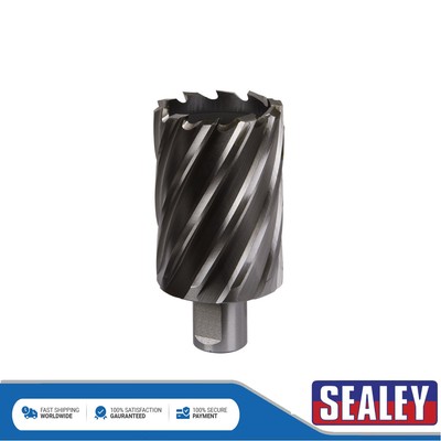 Sealey Worksafe �� 44 mm HSS Mag Bohrer Schnitttiefe 50 mm RBHSS44L