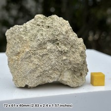 Osmington Oolite, Jurassic