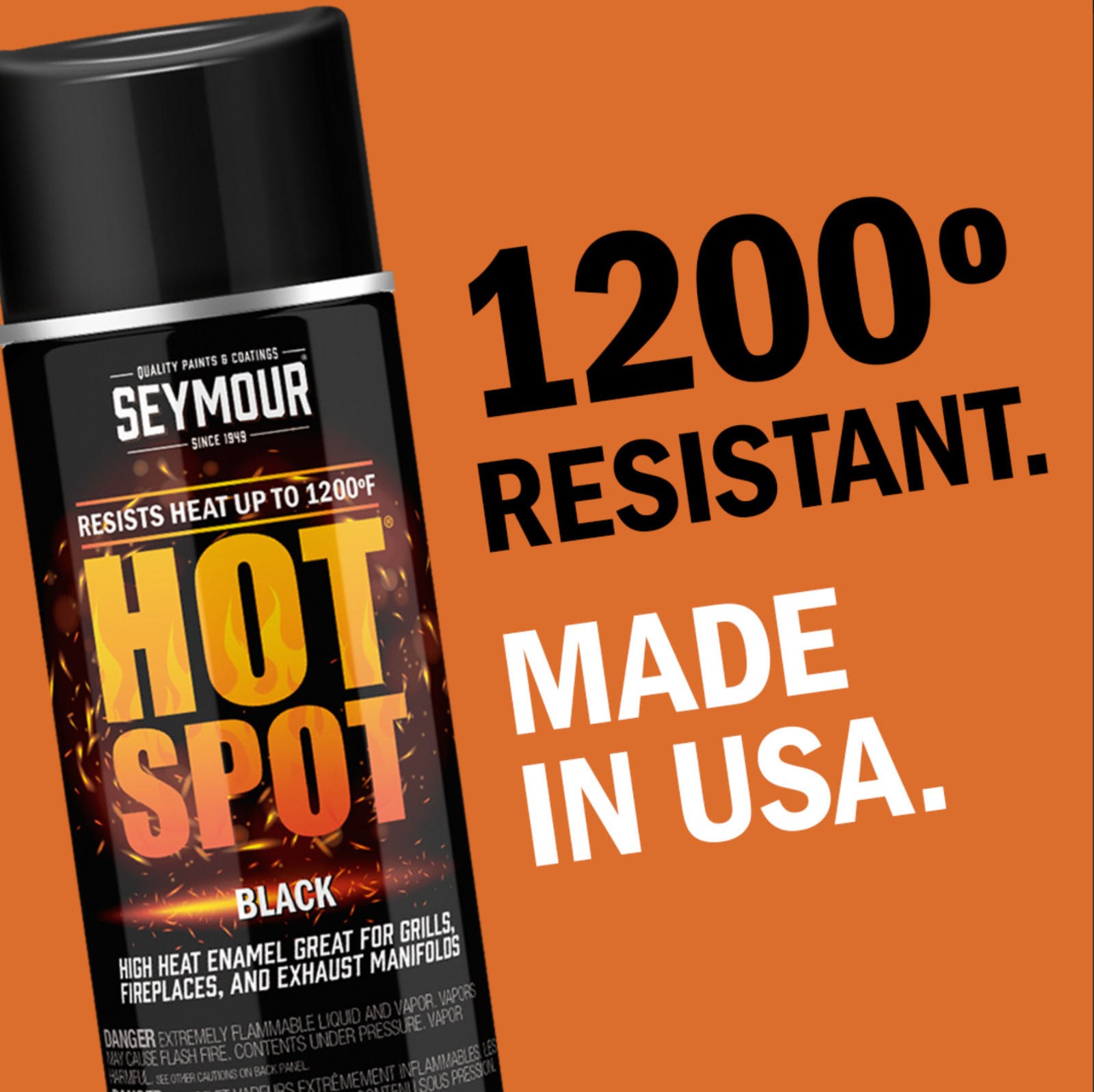 Seymour 162668 Seymour Cast Iron Gray Spray Paint (12 oz.) INSTITUTO