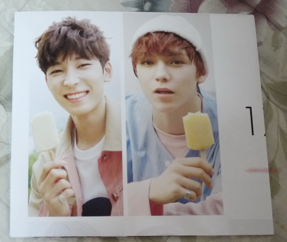 SEVENTEEN 17 HITS Taiwan Promo 