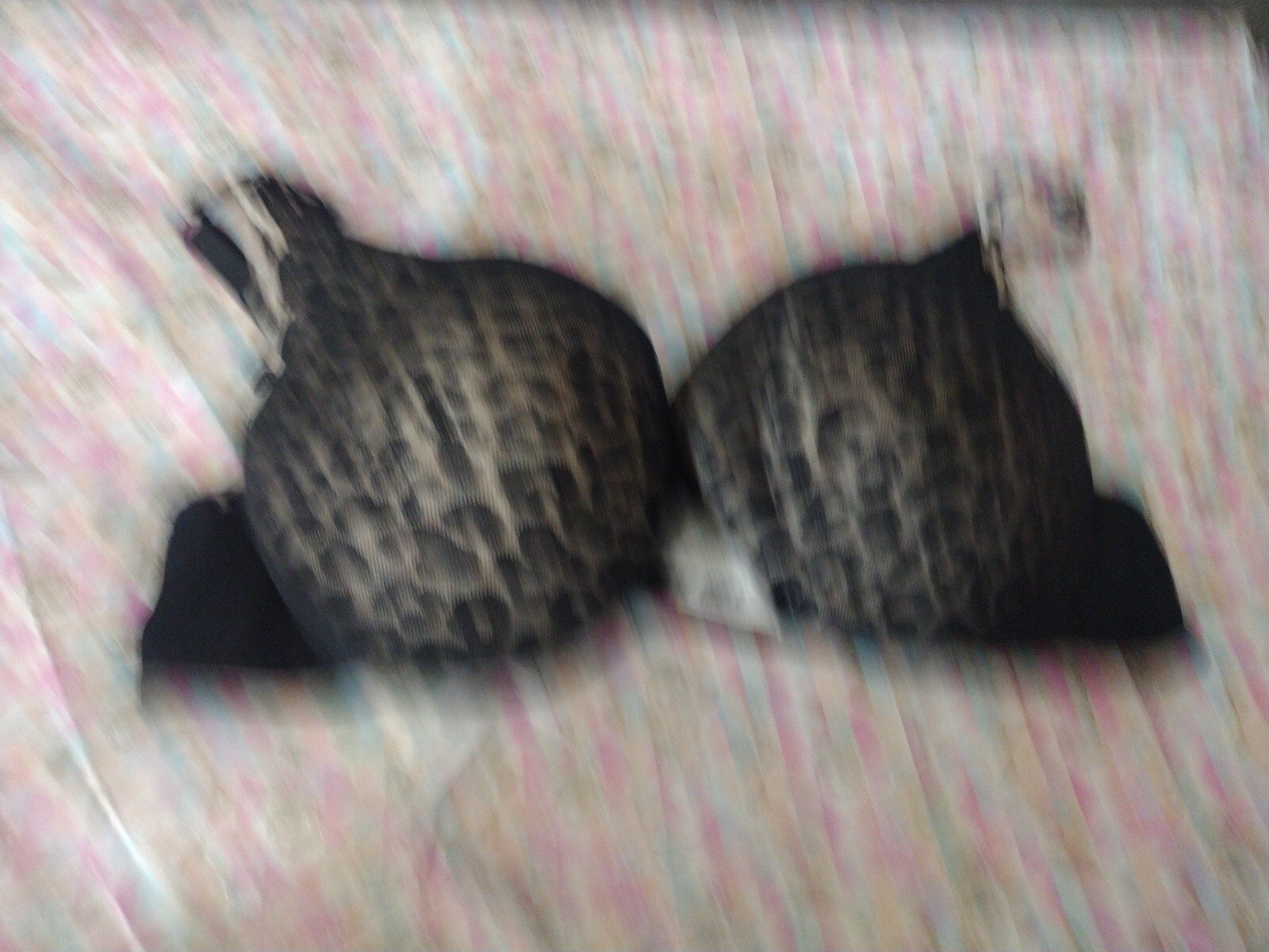 Women's Bra Animal Print Size 36C Underwire.