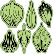 Inkadinkado Flower Petals Set Cling Rubber Stamp Stamping Gear