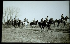 49588 AK Cavalier Avec Chevaux Ensemble Sur La Prairie Près De La Forêt