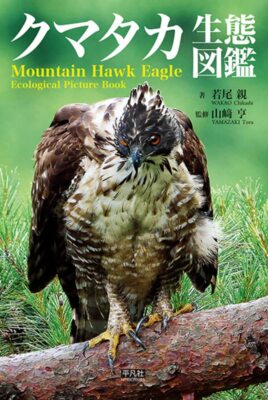 Mountain Hawk Eagle Kumataka Ecological Picture Japanese Book from Japan