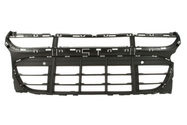Centre BLIC 6502-07-5724990P Radiator Grille for PORSCHE