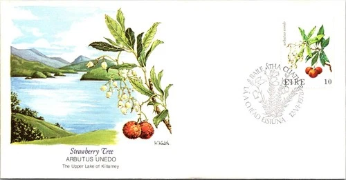 Ireland FDC 1978 Strawberry Tree / Fleetwood - Baile Atha Cliath - J26326
