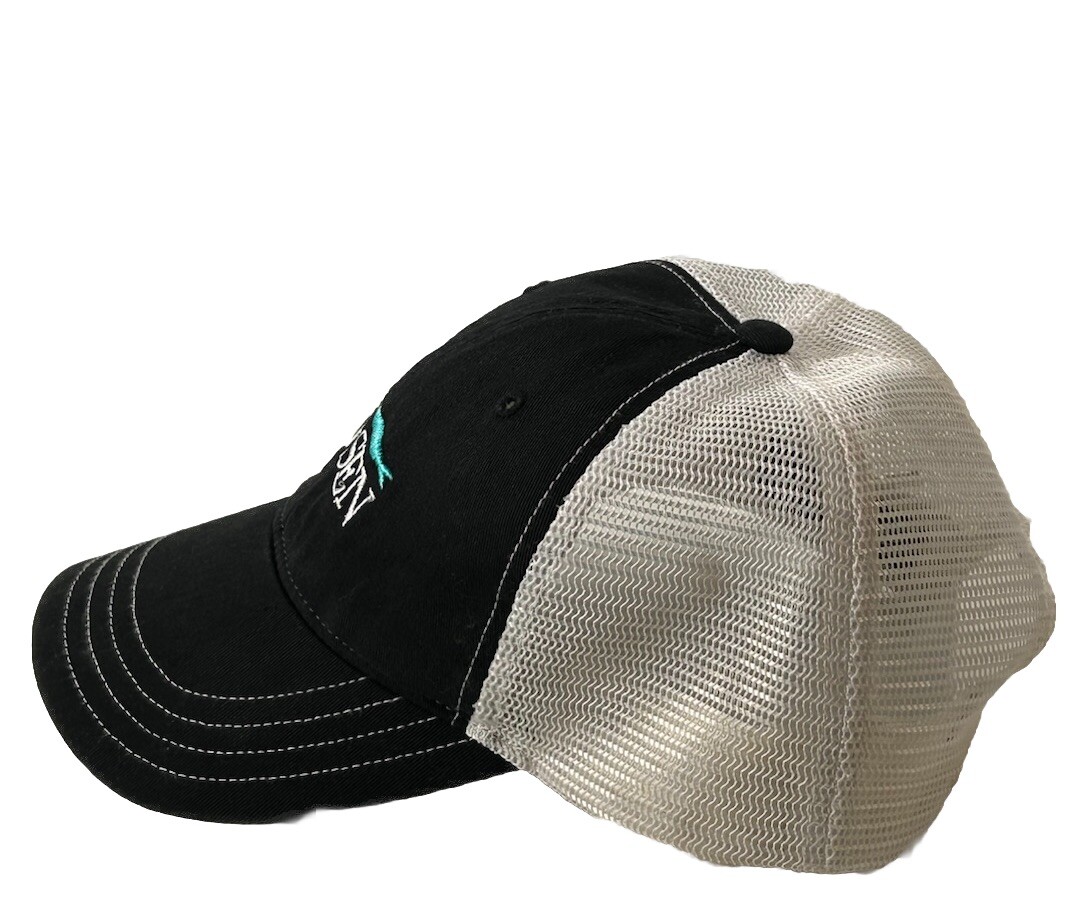 The Chosen Snapback Hat Cap Trucker Richardson Religious