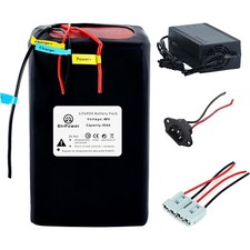 48V Lifepo4 Battery 20Ah 30Ah 45Ah Lithium for EBike Scooter 1000W with Charger