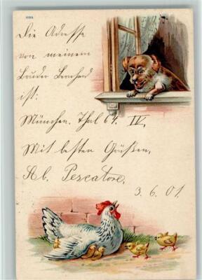 12086568 - Dog Looking Out Window and Sees Chicken with Chicks 1901 Postcard Dogs