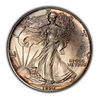 1990 1 oz Silver American Eagle - Colorful Pastel Pattern Toning - BU - E3288