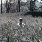 VINYL Taylor Swift - Folklore ("In The Weeds" Cover)