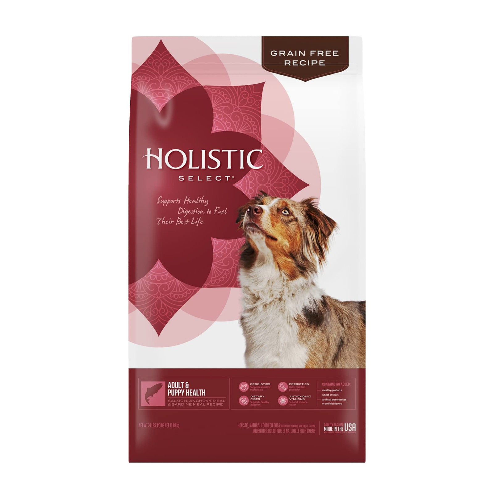 Holistic Select Natural Grain Free Dry Dog Food, Adult & Puppy Salmon, Anchovy &