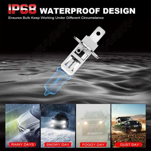 Kit de 4 bombillas halógenas para faros H1+H1 para Jaguar X-Type 2002-2006 2007 2008 blanco - Imagen 2 de 17