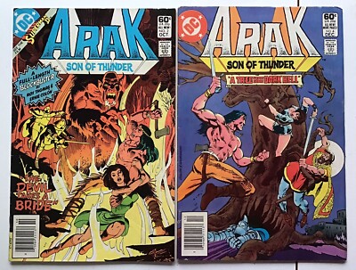 Lot of 2 - Arak: Son of Thunder #2 and #4 - 1981 - DC Comics - Bagged/Board
