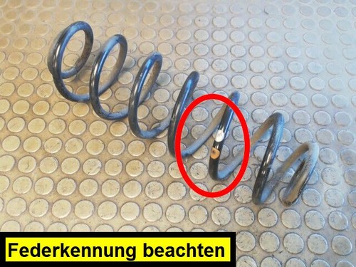 Hinterfeder Links Audi A3 1.6 8L 12 Monate Garantie Sofortversand