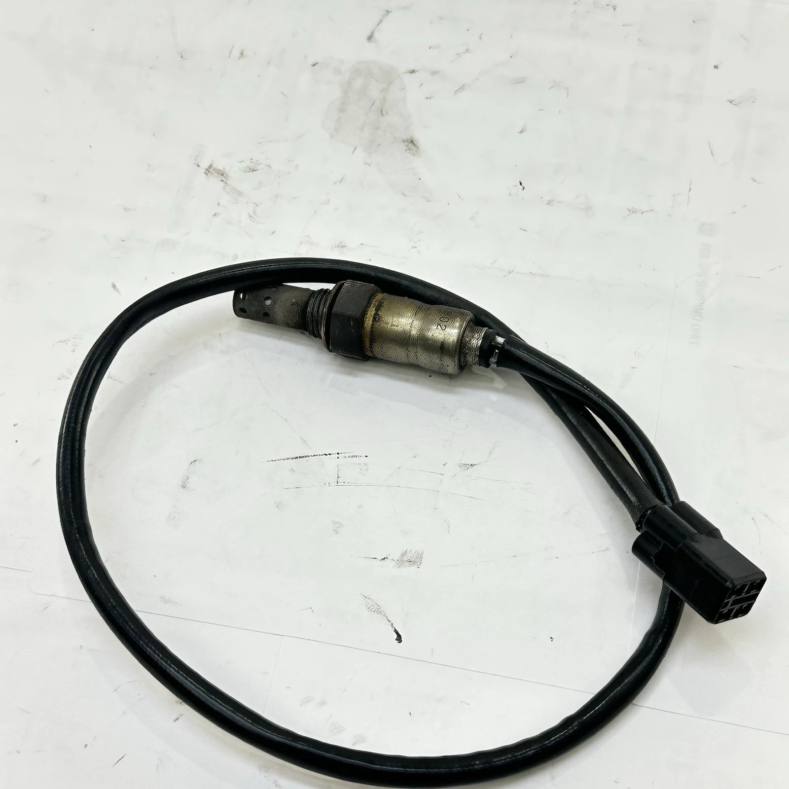 2013 - 2017 TRIUMPH Daytona 675R O2 Sauerstoffsensor Lambda Abgas Sensor Leitung