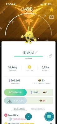 Pokemon Shiny Elekid with Spark Accessory Instinct Background -Tr'a.d.e or P.T.C
