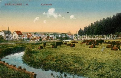 Braunlage Resin Cow Willow