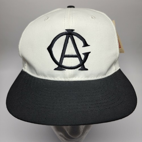 RARE NEW Chicago American Giants Hat 