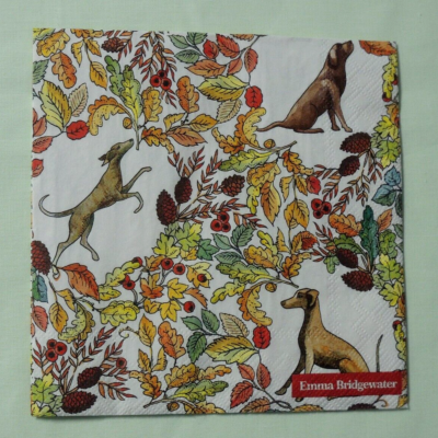Emma Bridgewater Papierservietten – 20 Stück, 33x33 Cm, Quadratisch, 3-lagig, Mit Design, Made In Germany