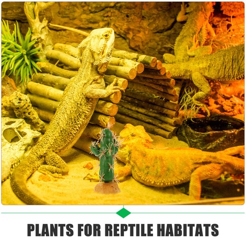 Vendu Plantes Décoratives Accessoire De Réservoir Reptiles Accessoires Dhabitat