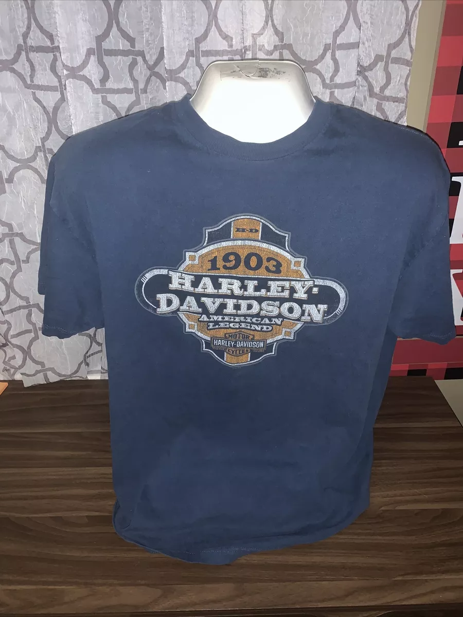 Harley Davidson T-shirt size XL Double Sided ST'nT Conneaut Lake PA Blue  1903 | eBay