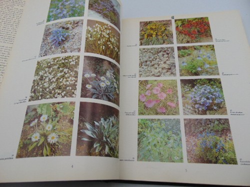 The Color Dictionary of Flowers & Plants for Home & Garden 1971 Hay & Synge HC - Bild 8 von 15