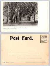 Harrison Maine Elm Street Dirt Road Tree Lined Postcard AE234