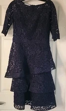 Riki Freeman Teri Jon Blue Lace dress size 8 Women's Short Sleeved 