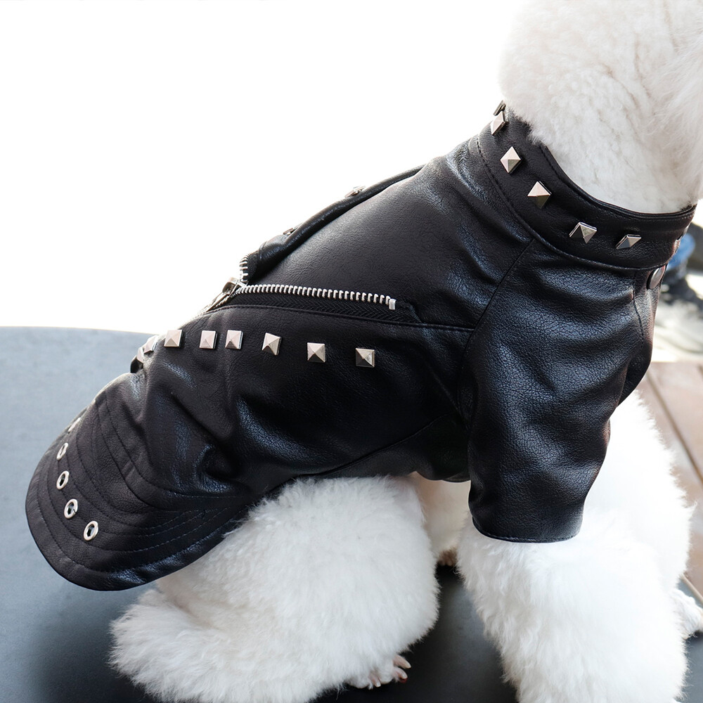 Top 129+ puppycat leather jacket latest jtcvietnam.edu.vn