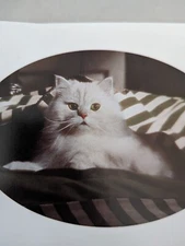 Fancy Feast Cat Vintage Note Cards Set Of 12 With Envelopes 2 Styles Darling 