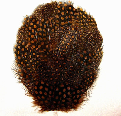 Brown Guinea Pheasant Feather Pad Hat Headband Purse Sew or Glue on   