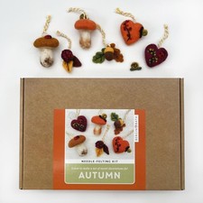Needle Felting Kit - Autumn Decorations, Learn to Make a Set of Cute Autumnal...