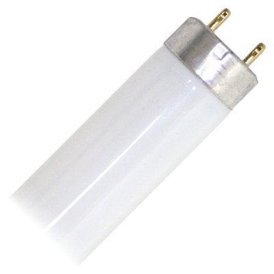 GE Lighting 45741 T8 Straight Linear Fluorescent Lamp 17 Watt 2-Pin G13 Base