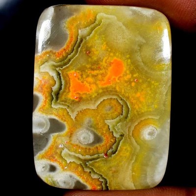 67.90Cts. 100% Natural Bumble Bee Jasper Cushion Cabochon Gemstone 27x37x04mm