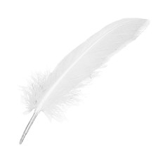 100pcs White Feathers Goose Craft for Party Hat Crafts Wedding Decoration1858