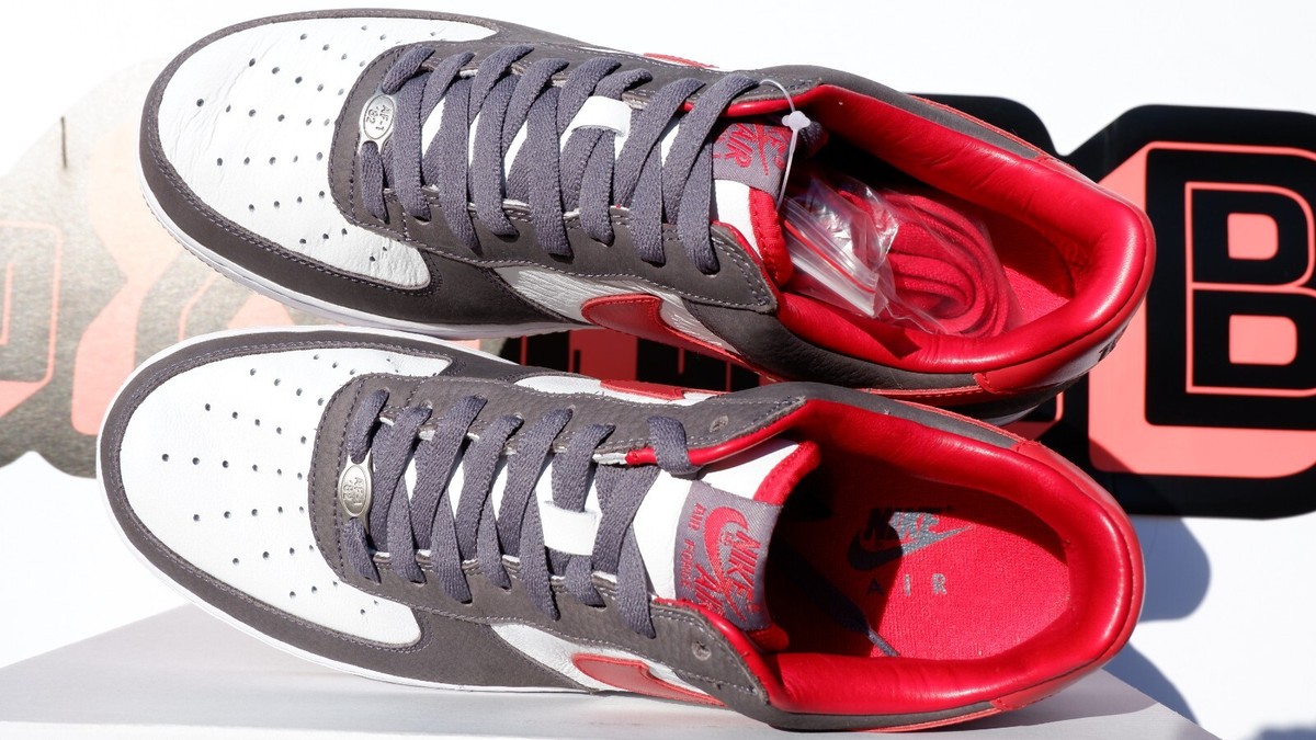 mike bibby air force 1