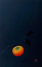 Haku Maki  81-10 (Persimmon B)