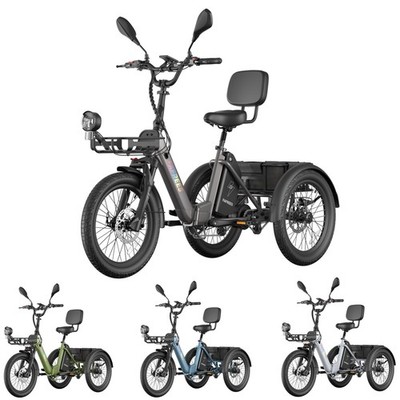 20 Zoll Elektro Dreirad E-Bike 3-Rad mit Korb 250W 48V 21Ah Fafrees F20 Mate II