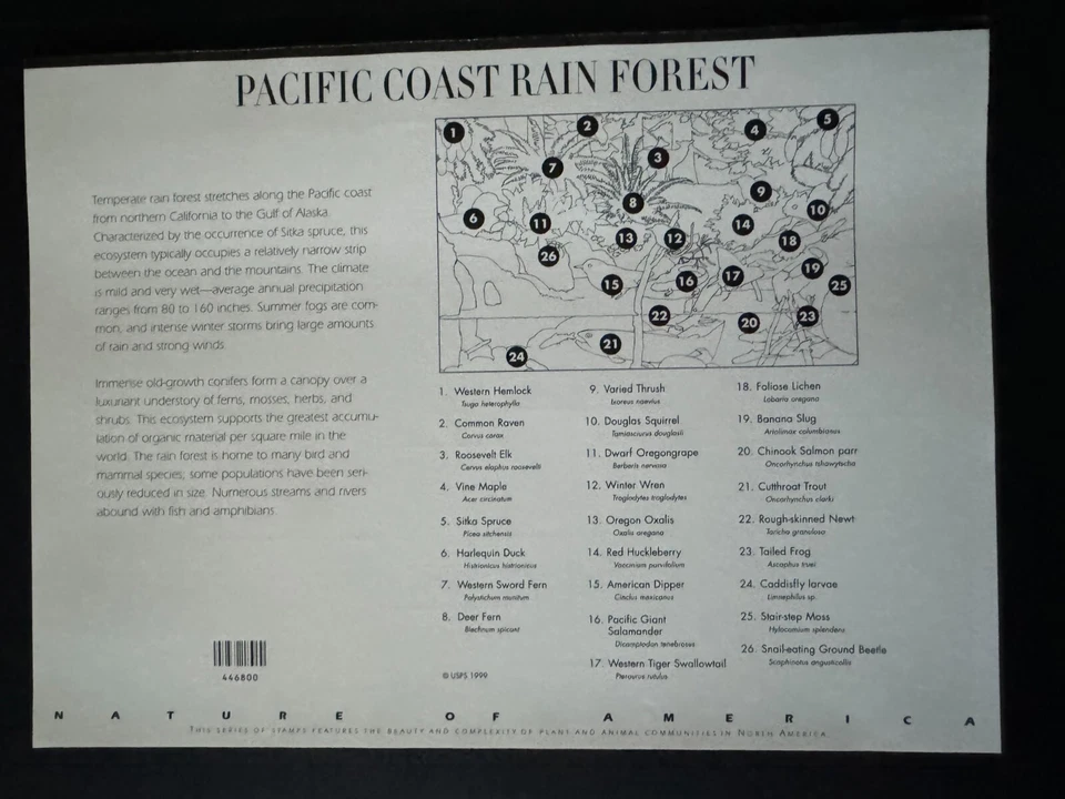Scott #3378 Pacific Coast Rain Forest Pane of 10 33¢ Stamps (2000) - Image 2 of 2