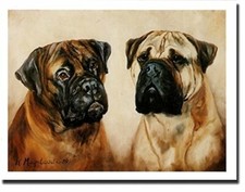 New Bullmastiff Pet Dog Pair Notecard Set - 6 Blank Note Cards By Ruth Maystead