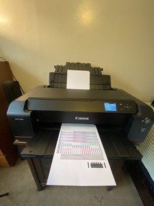 Canon Pro 1000 | eBay