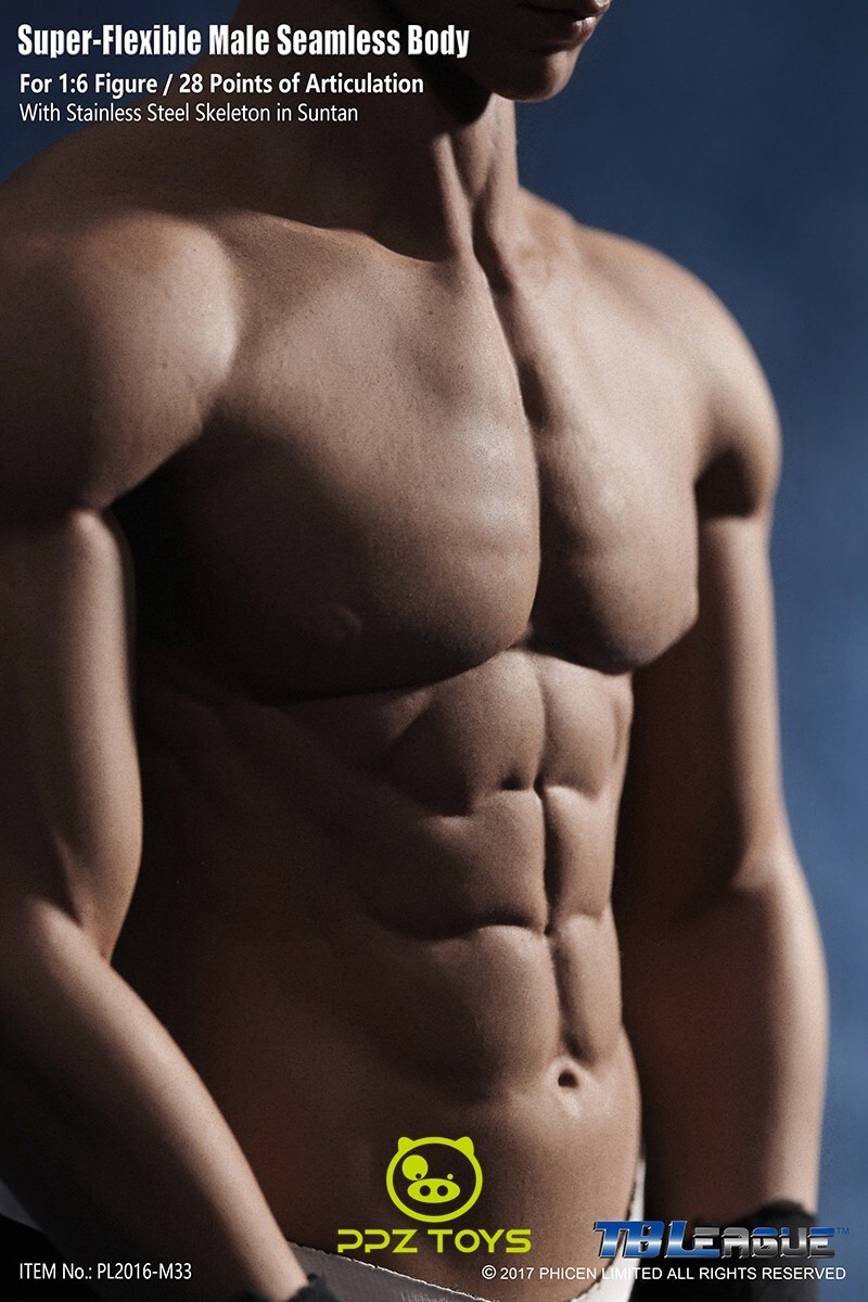 1/6 Phicen Super Flexible Male Seamless Body Steel Skeleton