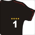 Deutschland Weltmeister 4 WM Sterne als Flock zum aufbügeln - Set D4 7x1,5cm DFB