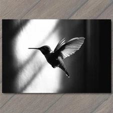 Art Print  Hummingbird Gliding Golden Sunshine Sparkles Vibrant Nature Glow Cute