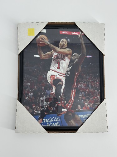 Derrick Rose Chicago Bulls Framed Photo 8x11 Basketball Sports Player #1 Rookie