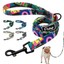 thumbnail 1 - 4ft Dog Leash with Padded Handle Fashion Pet Walking Leads for Small Large Dogs