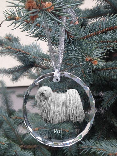 Puli - Crystal Ball With Photo, Little IN Crystal, Personalized ...