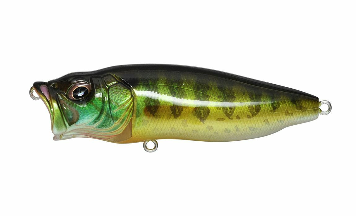 MEGABASS Popmax POP MAX - Pumpkin Seed - Topwater Bass Lure